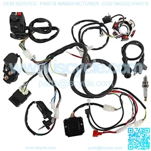 Wiring Harness Loom Kit Electrics Stator Coil CDI Wiring Harness Solenoid Relay Spark Plug for GY6 125cc 150cc ATV Quad GO Kart
