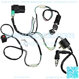 Wire Harness Wiring Loom CDI Ignition Coil Spark Plug Rebuild Kit for 50cc 70cc 90cc 110cc 125cc Stator CDI Coil ATV Quad Bike Buggy Go Kart