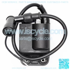 Piaggio Igniter CDI