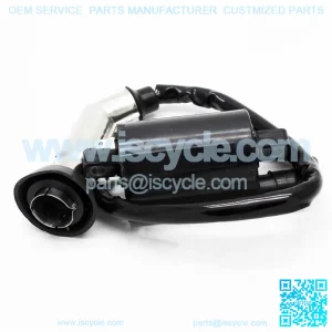 257cc 260cc 300cc ignition coil