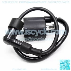 ATV 110cc 125cc 150cc 200cc 250cc ignition coil