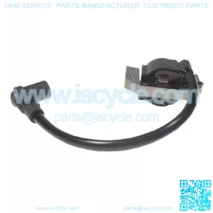 RXV Ignition Coil Assembly