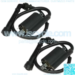 2 Ignition Coil for Suzuki VS800GL VS800 Gl Intruder 800 1992-2004