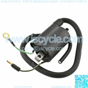Ignition Coil for Polaris Sportsman 90 2001 2002 2003 2004 05 2006 Ignition Coil