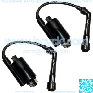 Set of 2 Ignition Coils for Kawasaki EX500 Ninja 500 500R 1987-2009