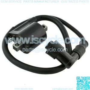 Ignition Coil for Suzuki LT250 Quadrunner 250E 1985 1986