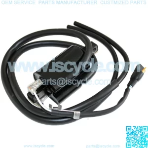 Ignition Coil for 410920500 Ski-Doo