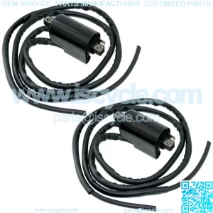 Set of 2 Ignition Coil for Suzuki GSF600S Bandit 600 1996 1997 1998 1999-2003