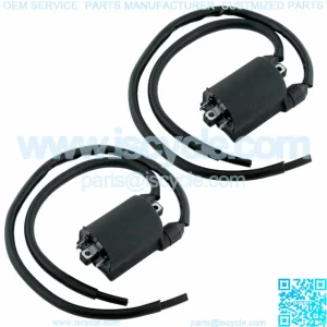 2 Sets Of Ignition Coil for Honda VT750C Shadow / VT750CD2 Shadow Ace1998-2001