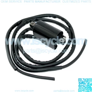 Ignition Coil for Suzuki GSXR1100 GSX-R1100 GSX-R1100W 1993 1994 1995 96 97 1998