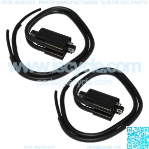 Front Rear Ignition Coil for Yamaha Road Star Warrior 1700 XV1700P 2002-2004