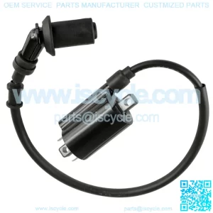 Ignition Coil Spark Plug Boot and Wire For Polaris Outlaw 110 2016-2021 0455029 (For: Polaris)