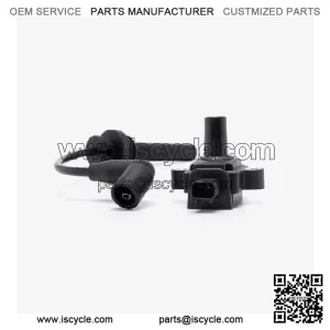 Ignition Coil for Loncin LX650-2C,Voge 650DSX Euro 5 LX650-2C-E5 CMPO Scooter