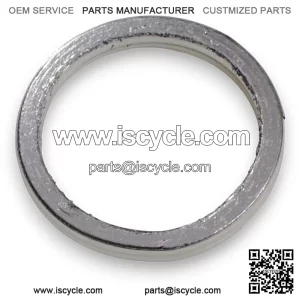 Muffler gasket, SFA 1000