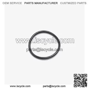 Motorcycle O-Ring for Loncin LX500-N,Voge 500AC Euro 5 LX500-N-E5 (ORNG104)