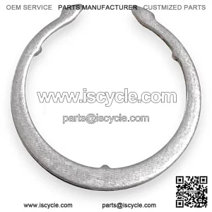 Retaining Ring SFA 1000