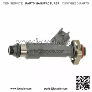 GM 2008-2012 Chevrolet Pontiac Indirect Fuel Injector Assembly 12613163