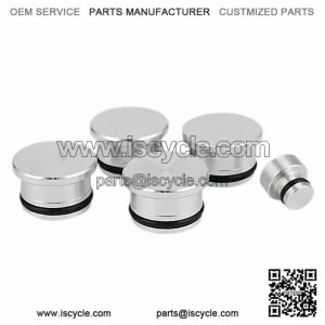 Inlet plug