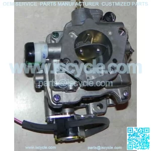 OEM Carburetor Assembly 24853181 24853181-S