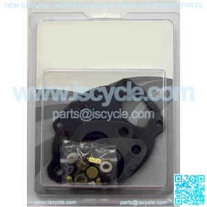 Complete Carburetor Kit, ZCK27