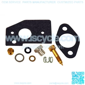 Kit Carburetor Overhaul B&S 1407