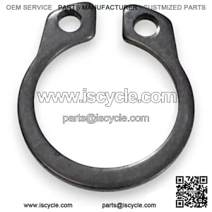 Retaining Ring SFA 1000