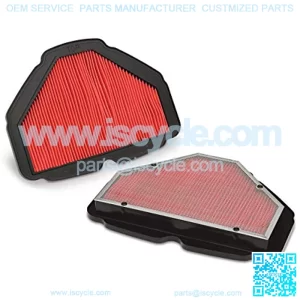 Big Bike Parts (5-419 Air Filter for Honda Goldwing GL1800 2018-,