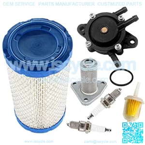 Tune Up Kit for Ezgo RXV 4 Cycle with Robbins Engine 2008 & UP Workhorse ST350 TXT Air Filter Fuel Pump