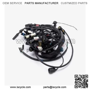 Wiring Loom for LX500-N-E5 for Loncin LX500-N,Voge 500AC Euro 5 LX500-N-E5 CMPO