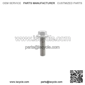 OEM Bolt Flg M12x1.75x100 Patch