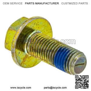 Polaris GEM Bolt with Patch, 10 mm x 1.25 mm x 25 mm,  OEM Part 7518760, Qty 1