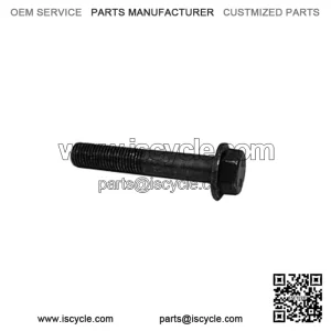 Polaris 7518563 Bolt M10X1.25X60 Hxflg-Olive D 2006-2024 RZR Ranger 1000 900 800