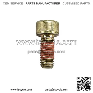 Polaris Ranger Bolt, Allen M6 x 1.0 x 14,  OEM Part 7517431, Qty 1