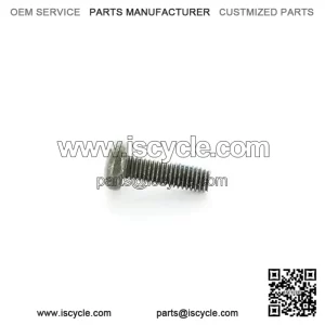 Polaris ATV Bolt M6 x 1.0 x 20,  OEM Part 7518616, Qty 1