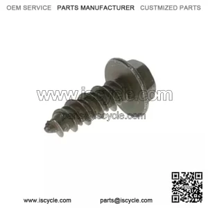 Polaris SCR-HXFL-M6X20 ZOD HI LO 7520055 OEM NEW