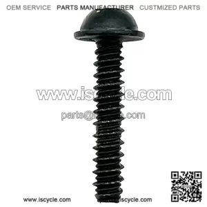 SCREW, PAN, #10 X 1.00 HI-LO