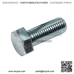 OEM Screw M10 X 25