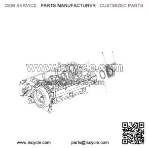 Polaris SCR Soc Head M6x20 W/dryloc 3040225 OEM
