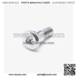 Disc Bolt for LX650-2C-E5 for Loncin LX650-2C,Voge 650DSX Euro 5 LX650-2C-E5