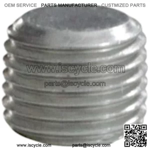 Blanking Plug M10/1 150166090010