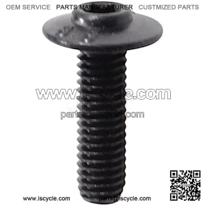 Screw M6x20mm 08002P620003