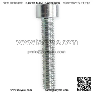 Screw M6x30mm B0205060306H