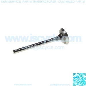 EZGO MCI Engine Exhaust Valve 03-up