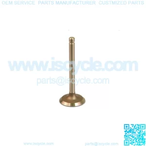 EZGO 295/350cc Intake Valve 91-02