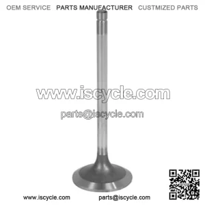 for R98062 Intake Valve Fits for John Deere 3100, 5105, 5200, 5205, 5210, 5220, 5300+