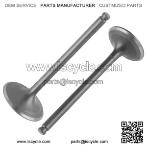 Intake & Exhaust Valve for Honda TRX420FE1 TRX420FM1 FourTrax Rancher 2014-2021 (For: Honda)