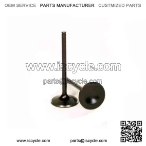 Exhaust Valve for 2015-2020 Honda TRX420FA5 FourTrax Rancher 4x4 wb (For: Honda)