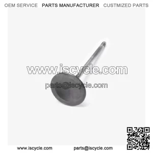 Inlet Valve for LX650-2C-E5 for Loncin LX650-2C,Voge 650DSX Euro 5 LX650-2C-E5