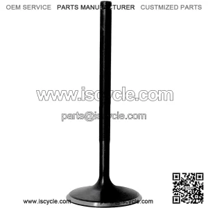Intake valve SFA 1000