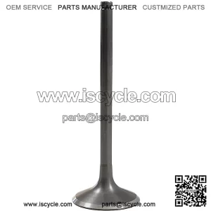 Exhaust Valve SFA 1000